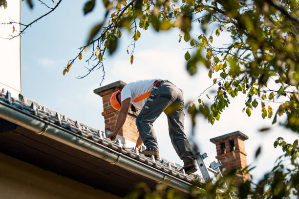 Best Sheet Metal Roofing  in Chico, WA