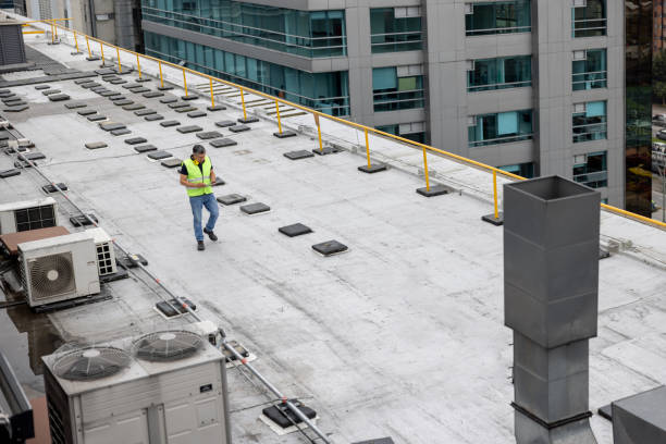 Best Roof Coating and Sealing  in Chico, WA
